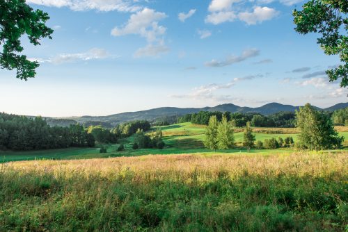 Golfové hřiště: 5