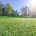 Jaro zavítalo na Ypsilonku!