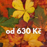 Podzimní fee na Ypsilonce